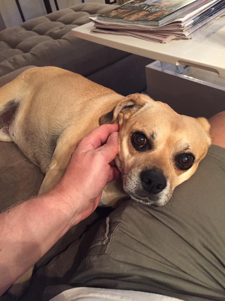 13615190_10150624924619943_3175083037342449129_n