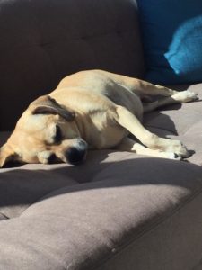 14054216_10150645667809943_597560299534342451_n