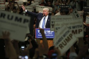 REUTERS/Jonathan Ernst